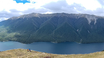 Buller CI