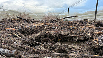 Flood recovery CI image
