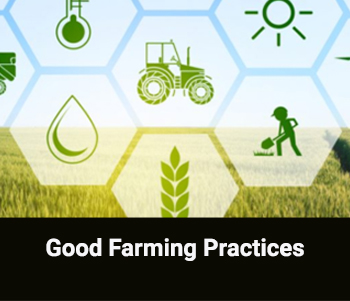 Good Farming Practicess CI