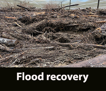 Flood recovery