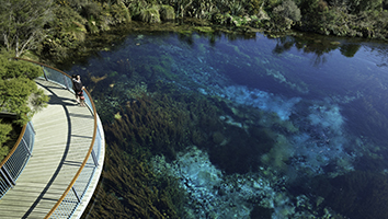 Te Waikoropupu Springs