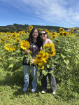 Big bros sunflower