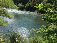 Can I swim here