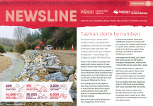 Newsline 600