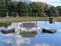 Solar Bee 02